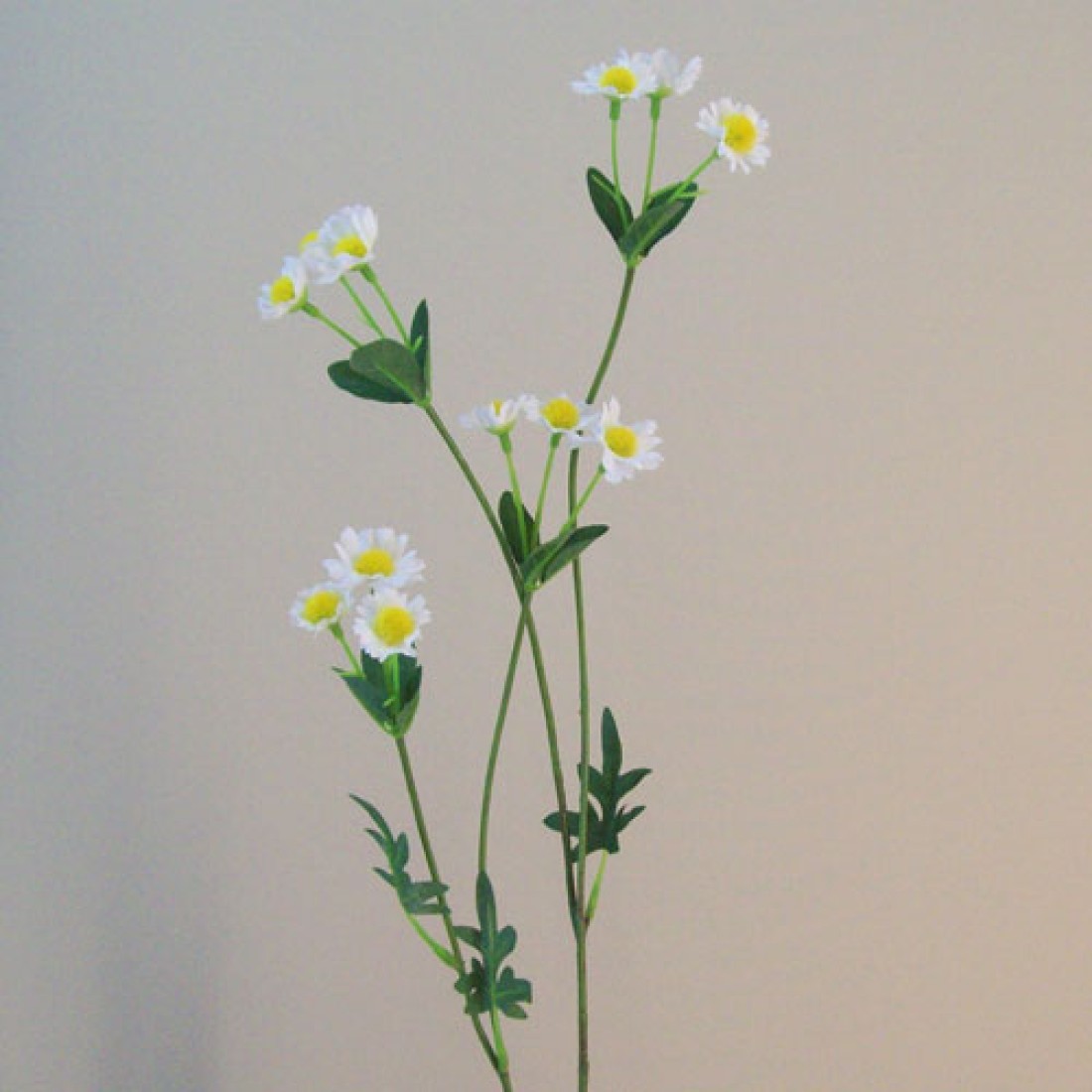 Mini Garden Daisies Stem 62cm Artificial Flowers